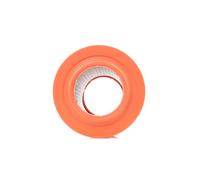 FEBI BILSTEIN 22611 Filtro aria per FIAT DUCATO Pritsche/Fahrgestell (244)