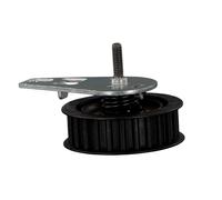 FEBI BILSTEIN 22900 Rullo tenditore, cinghia dentata