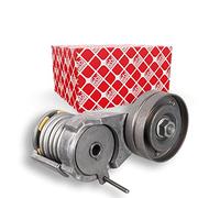 Febi-Bilstein 23558 - Tendicinghia, Cinghia Poly-V