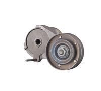 FEBI BILSTEIN 23558 Tenditore cinghia servizi