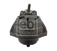 FEBI BILSTEIN 24097 Sospensione, Motore per BMW