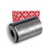 Cuscinetto, molla a balestra FEBI BILSTEIN 24443