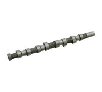 Albero a camme 24689 FEBI BILSTEIN per CITROËN PEUGEOT FIAT LANCIA