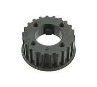 FEBI BILSTEIN 25172 Ingranaggio albero motore Ruota dentata albero a gomiti Pignone albero motore