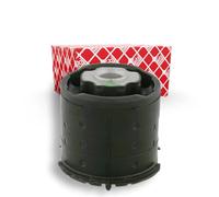 FEBI BILSTEIN 26263 Supporto assale Posteriore Sx Posteriore Dx Supporto Assale Supporto corpo assiale Silent block ponte