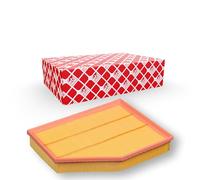 FEBI BILSTEIN 27036 Filtro aria motore Cartuccia filtro