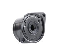 FEBI BILSTEIN 27373 Tenditore cinghia servizi per BMW 3 Sedan (E46) X3 (E83)