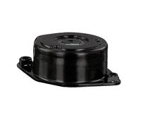 FEBI BILSTEIN 27381 Tenditore cinghia servizi