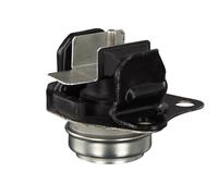 FEBI BILSTEIN 28325 Supporto motore
