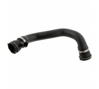 Tubo flessibile del radiatore FEBI BILSTEIN 28486 destro