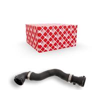 FEBI BILSTEIN 28680 Flessibile radiatore Sx in alto