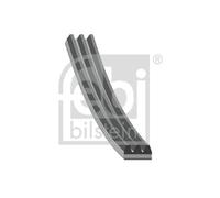 FEBI BILSTEIN 28744 Cinghia Poly-V per RENAULT