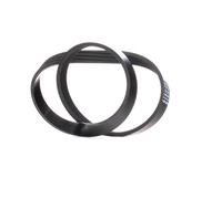 FEBI BILSTEIN 28767 Cinghia servizi