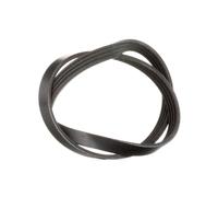 FEBI BILSTEIN 28780 Cinghia servizi
