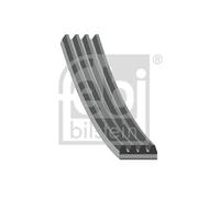 FEBI BILSTEIN 28811 Cinghia Poly-V per AUDI,AUDI (FAW),CITROËN,RENAULT,SKODA,TOY
