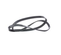 FEBI BILSTEIN 28811 Cinghia servizi