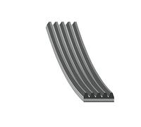 Febi Bilstein Cinghia Poly V 28856 multirighe EPDM per Chrysler Dodge Fiat Ford Honda Lancia MG