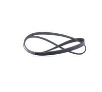 FEBI BILSTEIN 28856 Cinghia servizi