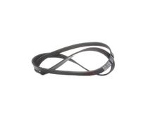FEBI BILSTEIN 28862 Cinghia servizi