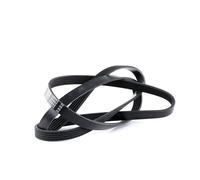 FEBI BILSTEIN 28885 Cinghia servizi