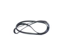 Cinghia Di Trasmissione Alternatore Febi 28889 Per BMW Serie 3 5 7 X5 E46