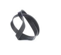 FEBI BILSTEIN 28913 Cinghia servizi