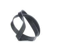 FEBI BILSTEIN 28913 Cinghia servizi per VW Golf VII Hatchback 1030mm