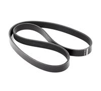 FEBI BILSTEIN 28920 Cinghia servizi per VW Golf IV Hatchback (1J1) POLO (9N)