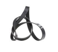 FEBI BILSTEIN 28927 Cinghia servizi