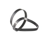 FEBI BILSTEIN 28928 Cinghia servizi