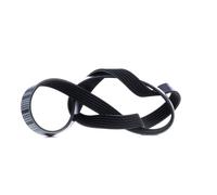 FEBI BILSTEIN 28933 Cinghia servizi