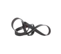 FEBI BILSTEIN 28943 Cinghia servizi