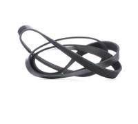 FEBI BILSTEIN 28953 Cinghia servizi