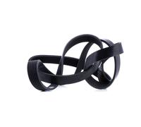 FEBI BILSTEIN 28957 Cinghia servizi per VW Polo Hatchback (6R1, 6C1) TIGUAN (5N)