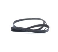 FEBI BILSTEIN 28959 Cinghia servizi per VW Golf V Hatchback (1K1) 1613mm