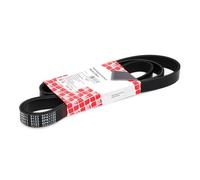 FEBI BILSTEIN 28971 Cinghia servizi per AUDI A6 Avant (4A5, C4) 1725mm