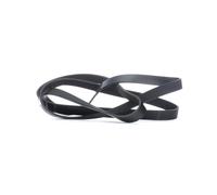 FEBI BILSTEIN 29009 Cinghia servizi