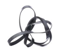 FEBI BILSTEIN 29014 Cinghia servizi