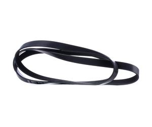 FEBI BILSTEIN 29017 Cinghia servizi