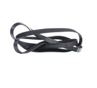 FEBI BILSTEIN 29023 Cinghia servizi