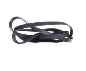 FEBI BILSTEIN 29023 Cinghia servizi