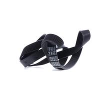 FEBI BILSTEIN 29030 Cinghia servizi