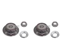 Febi BILSTEIN 2x Cuscinetto Ruota Mozzo Posteriore per Citroën Xsara Berlingo