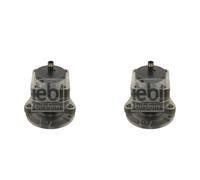 Febi BILSTEIN 2x Cuscinetto Ruota Mozzo Posteriore per Peugeot Expert Furgonato