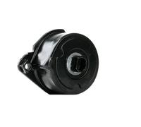 FEBI BILSTEIN 30117 Tenditore cinghia servizi
