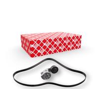 FEBI BILSTEIN 30209 Kit Cinghie Poly-V