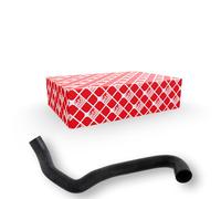 FEBI BILSTEIN 30467 Flessibile radiatore 39 34 x Sx in basso Compatibilità con MERCEDES-BENZ Sedan W202 CLK C208 T-modell S202 CLK Cabriolet A208