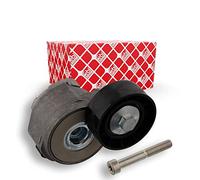 Ferdinand Bilstein Tendicinghia 30733 per cinghia a V Automatico