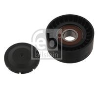 Febi BILSTEIN 30923 Deviazione/Puleggia Guida,Cinghia Scanalata per Audi,Audi (