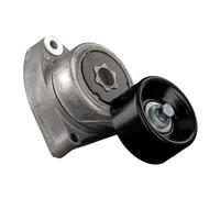FEBI BILSTEIN 31255 Tenditore cinghia servizi